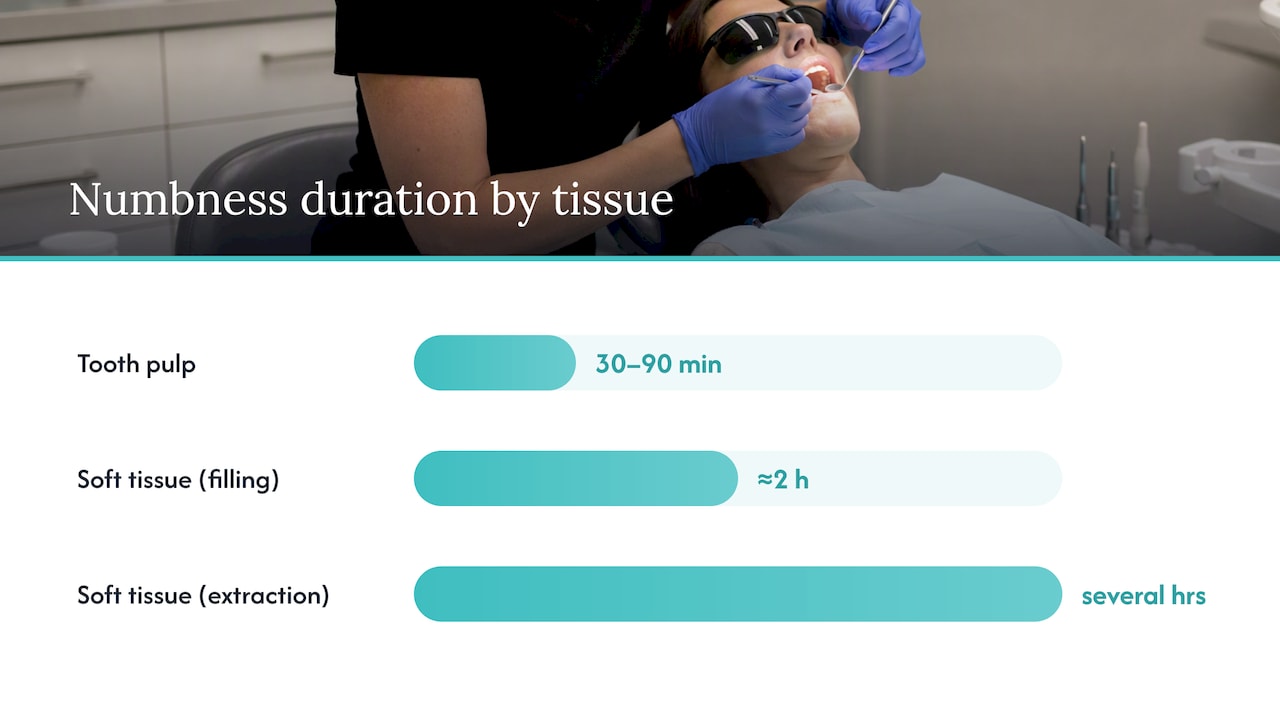 Timeline comparing tooth and soft tissue numbness